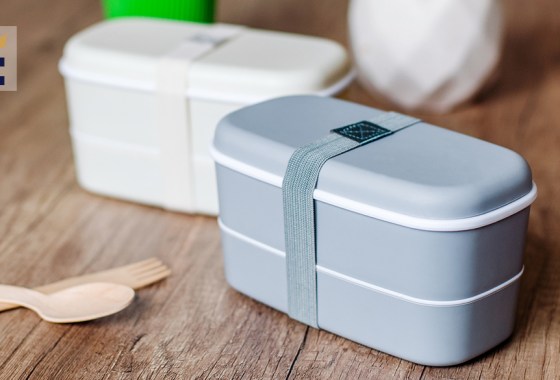 Best Bentgo lunch box