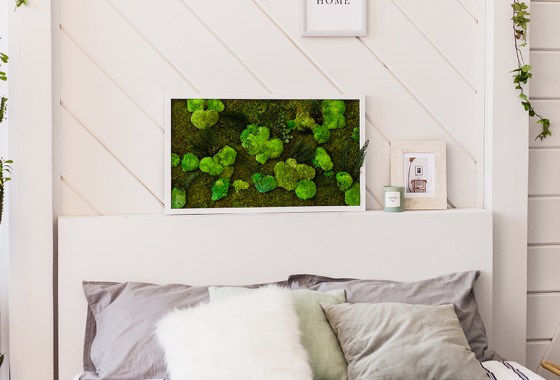 Best moss wall art