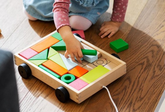 Best wooden toy cart