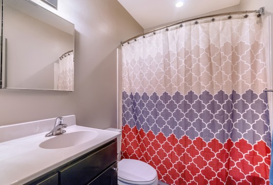 Best mid-century modern shower curtain