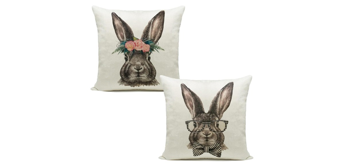 Hlonon Easter Decorations Throw Pillow Cover Set of 2