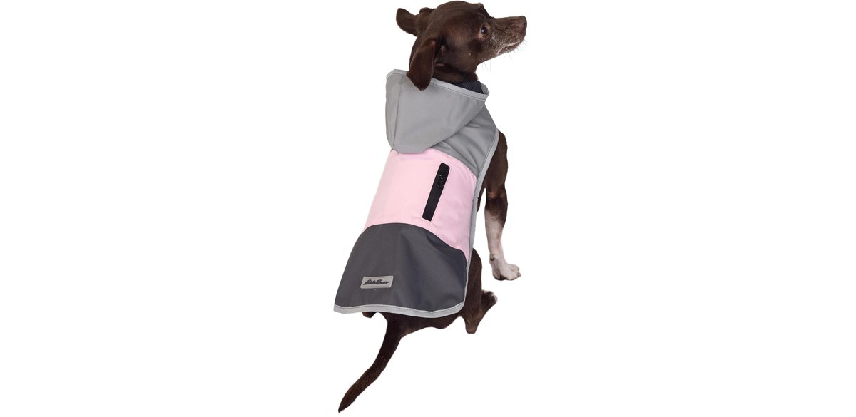 Eddie Bauer E24232S Ravenna Colorblocked Dog Windbreaker Jacket