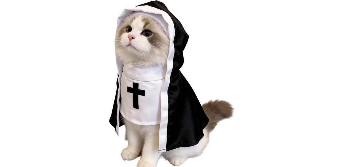 Nun Hooded Cape Cosplay Pet Outfit