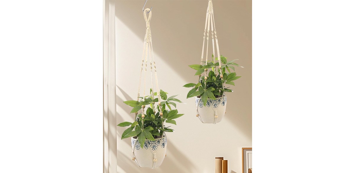 2Pcs Macrame Plant Hanger