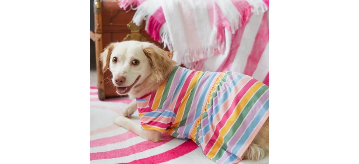 Dog wearing Striped Gap Dog Dress