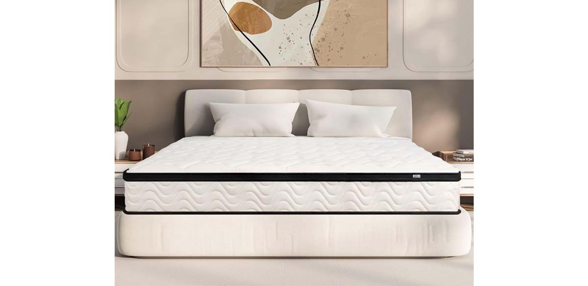 MOLBIUS Queen Mattress 10 Inch