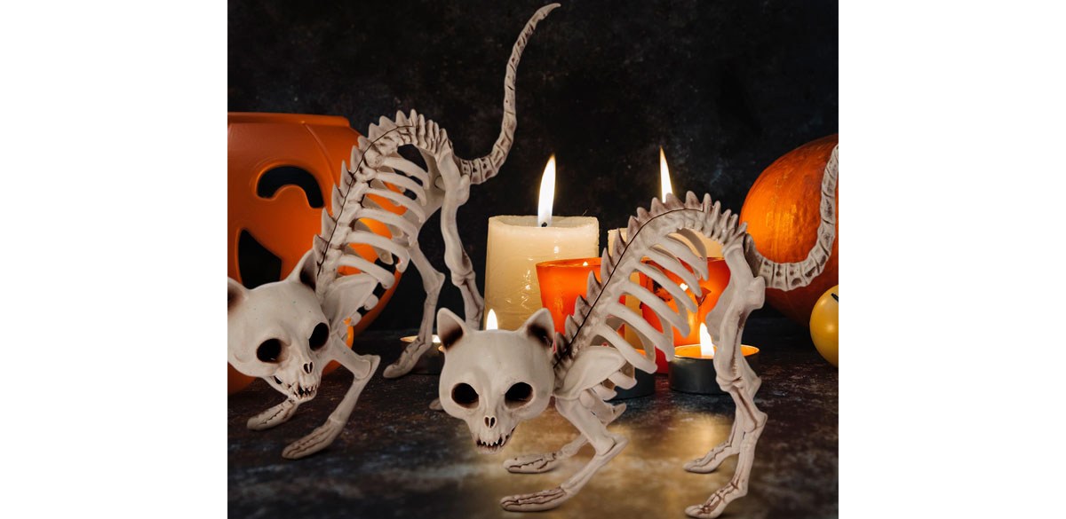 Joyfy 2 Pcs Cat Skeleton