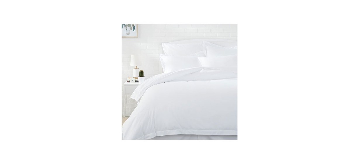 Amazon Basics Light-Weight Microfiber Duvet Cover Set