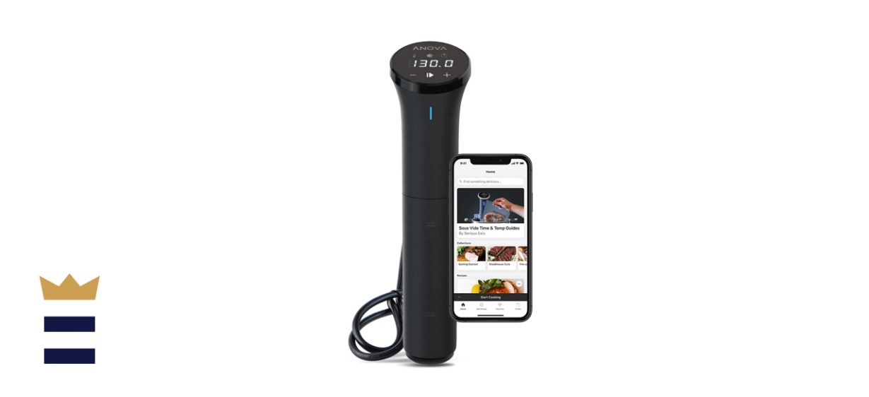 Anova Culinary Sous Vide Precision Cooker Nano