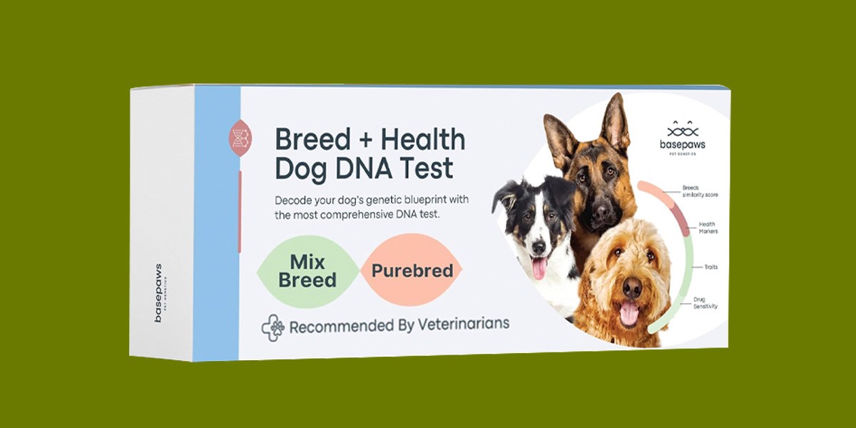 Basepaws Dog DNA Test