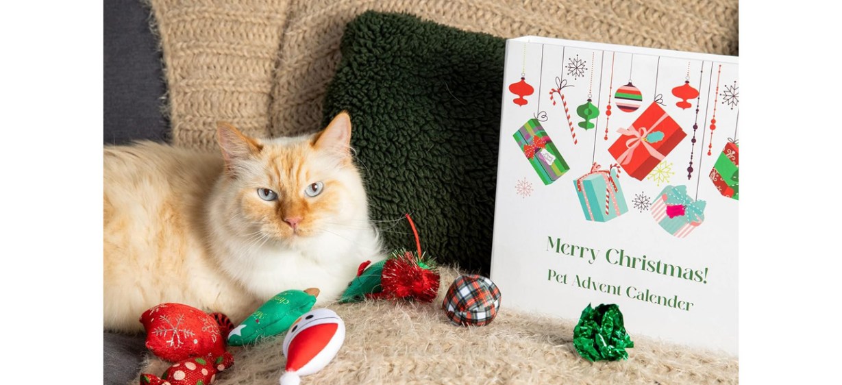 Best Midlee Cat Advent Calendar