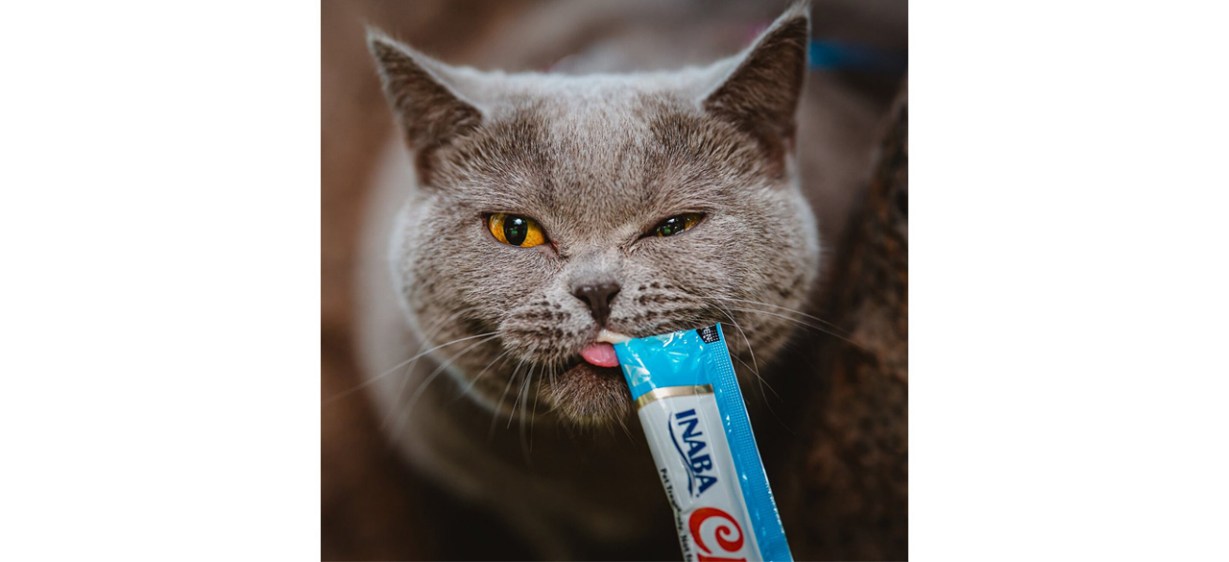 Inaba Churu Variety Pack Lickable Cat Treats