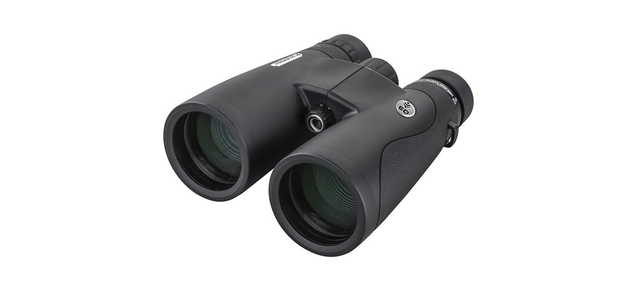 Best Binoculars | Fox 59