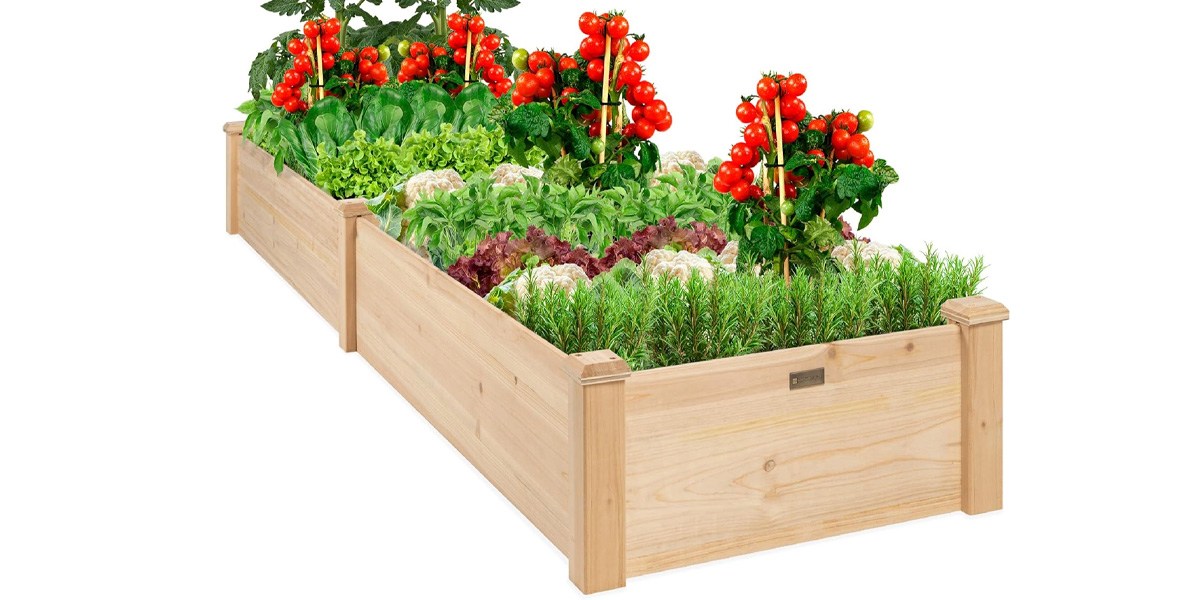 Best Choice Products 8x2ft Outdoor Wooden Raised Garden Bed
