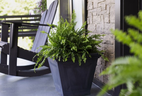 Best concrete planter