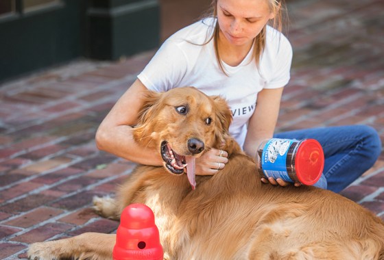 Best dog dental chew