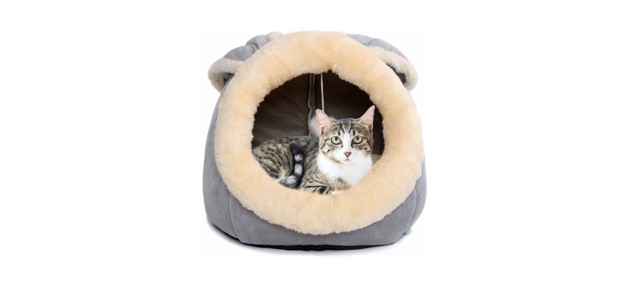 Introducing the CozyShroom Cat Bed – a stylish and snug retreat for your  feline companion. Shaped like a mushroom, this chic bed combin