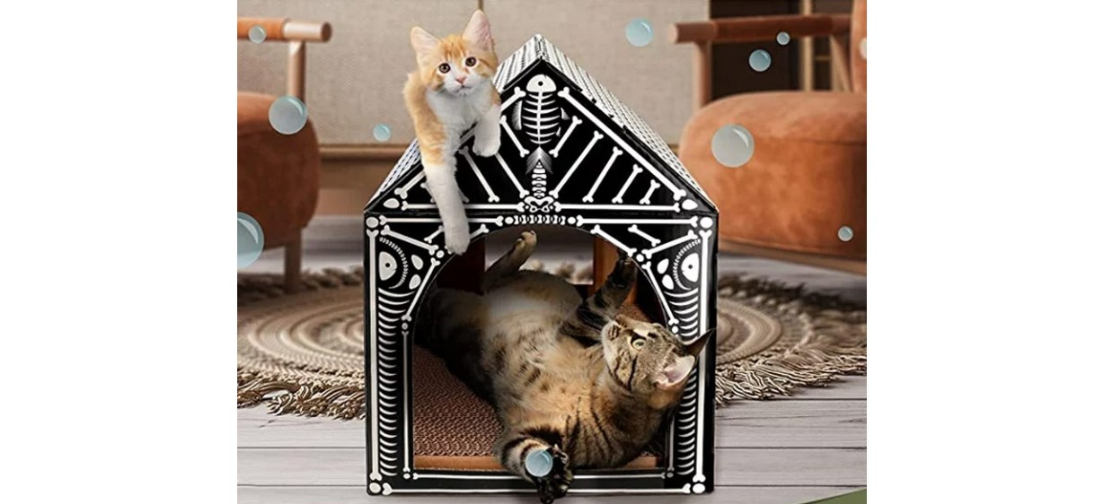 Cardboard holiday cat house with one cat inside and a kitten on top Cardboard holiday cat house with one cat inside and a kitten on top