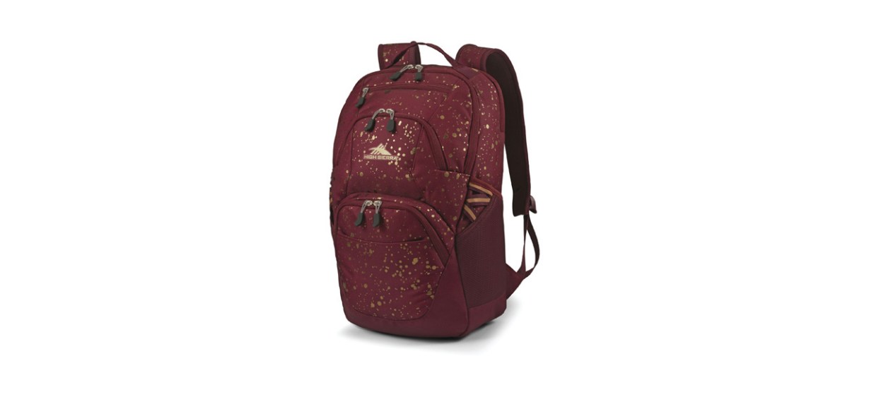 Best High Sierra Swoop Backpack