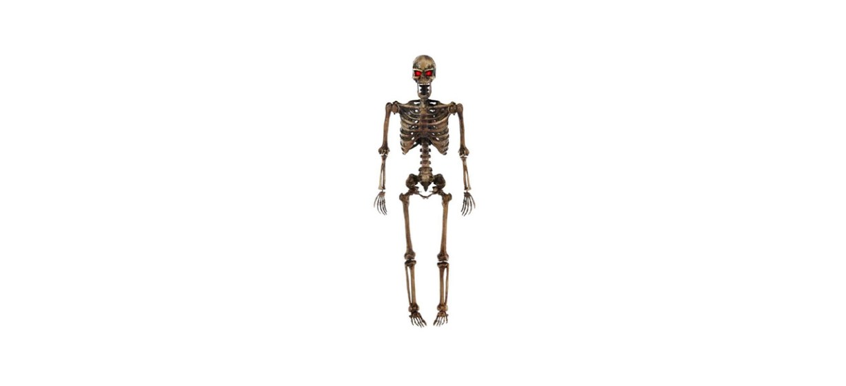 Best Home Accents Holiday Posable Decayed Skeleton with Light Up Eyes