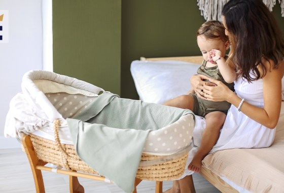 Best Ingenuity bassinet