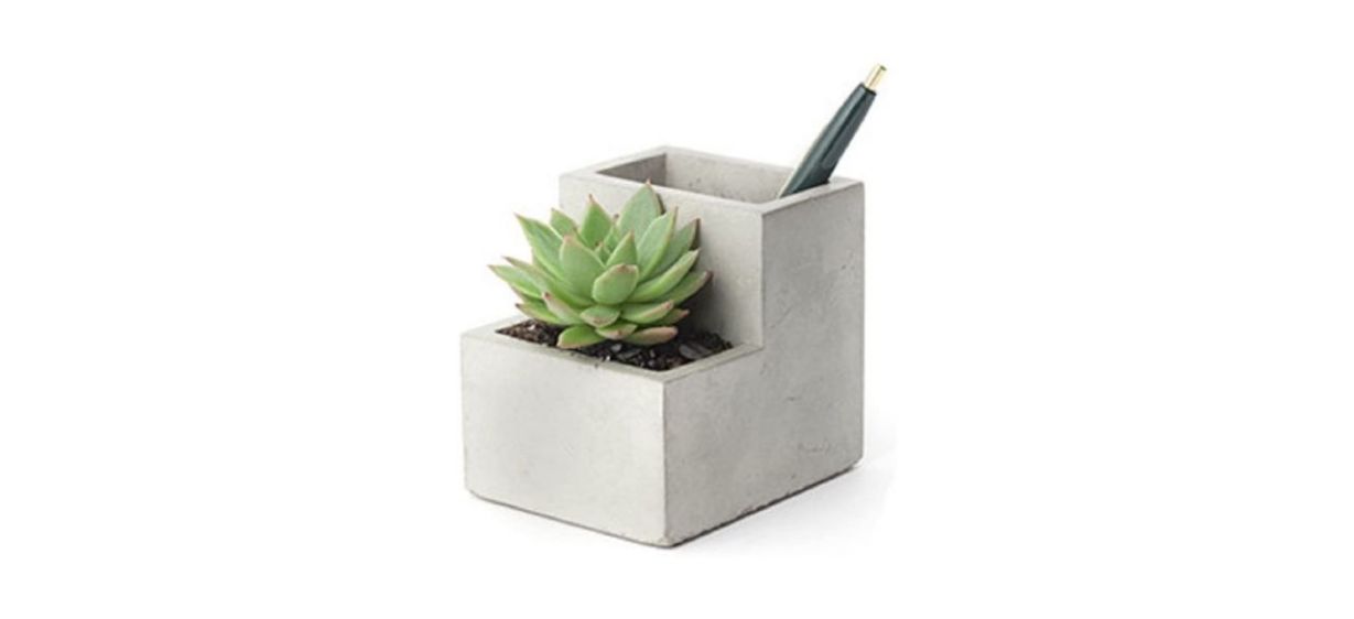 Best Kikkerland Concrete Desktop Planter