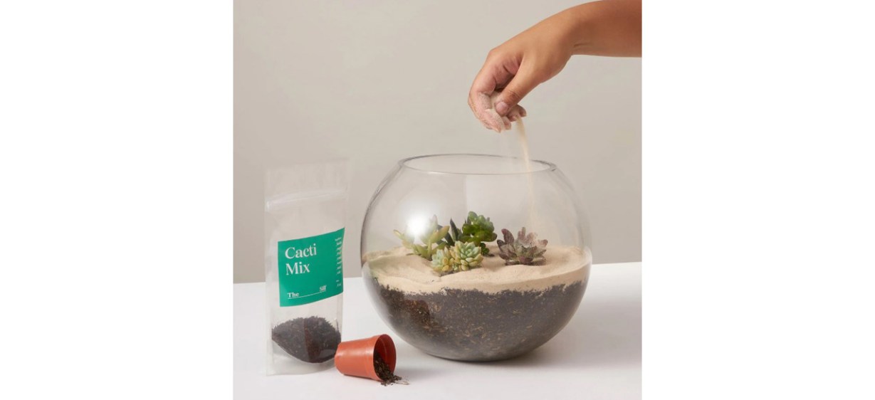 Best The Sill DIY Terrarium Kit