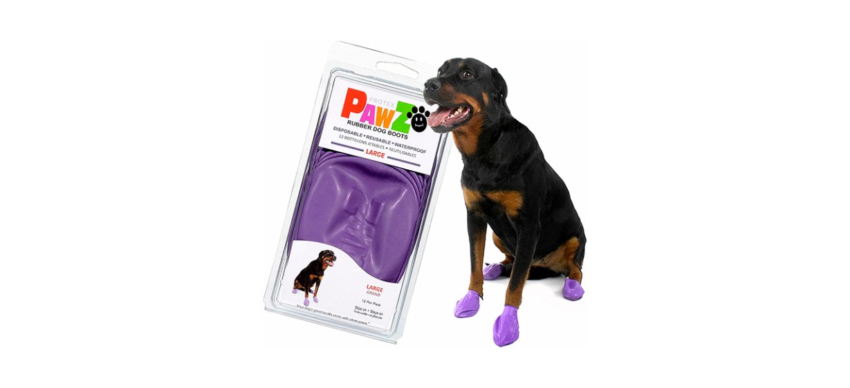 Best PawZ Dog Boots