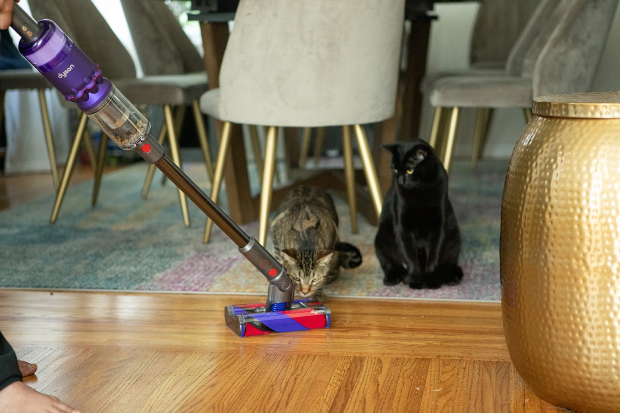 5 Best Pet Vacuums Nov. 2023 BestReviews