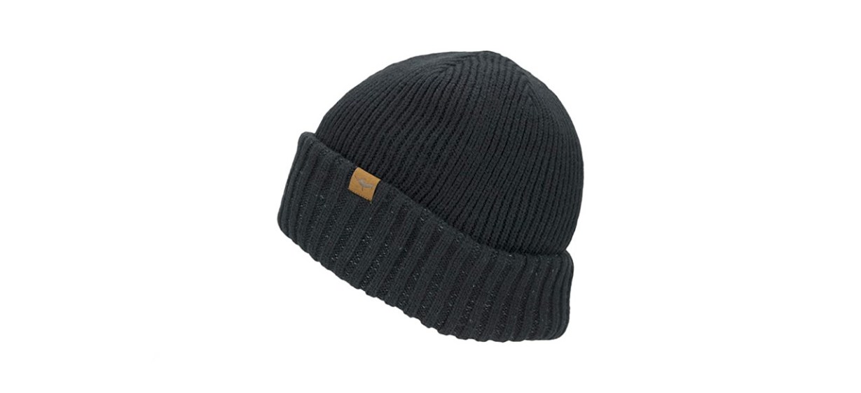 best Sealskinz Waterproof Cold Weather Roll Cuff Beanie