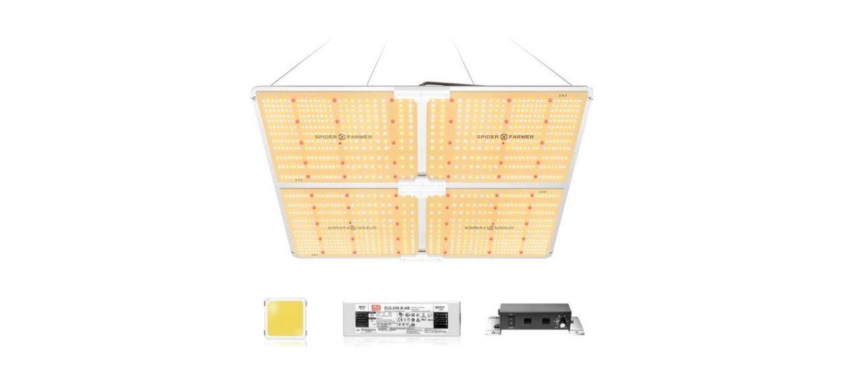 Best Spider Farmer SF4000 LED Grow Light