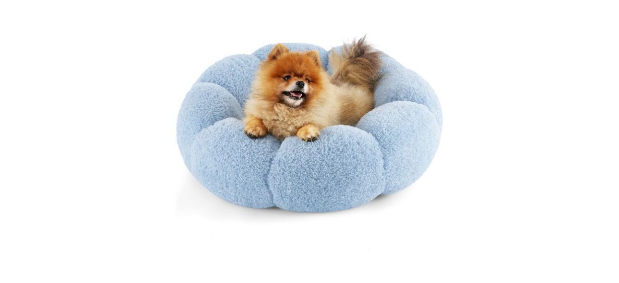 The Best Squishmallows Pet Beds To Buy