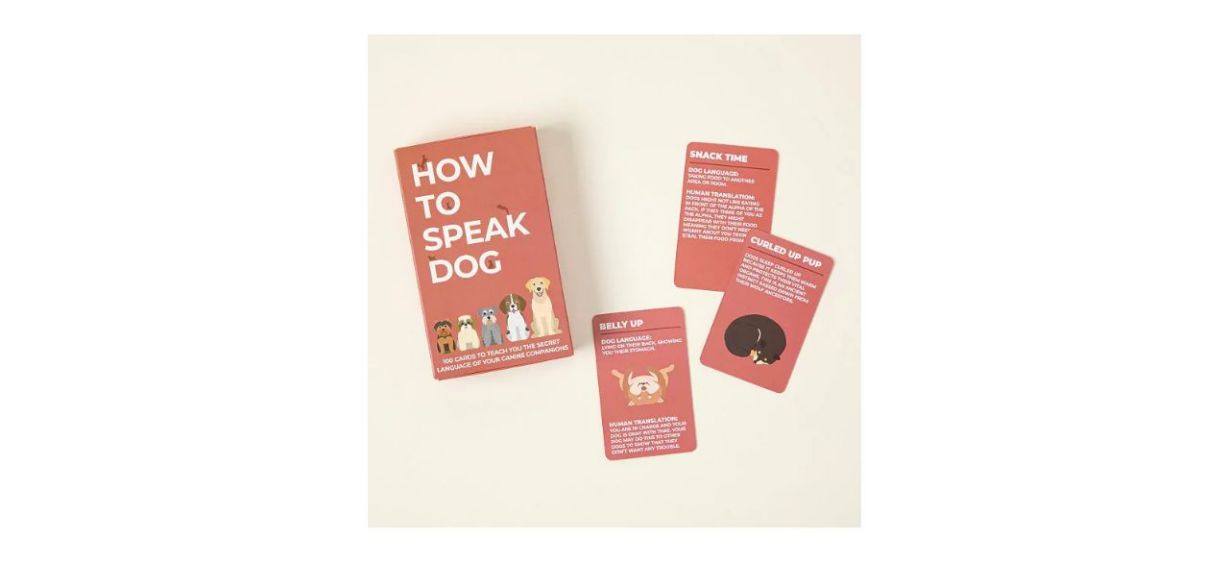 How To Speak Dog Cards on beige background