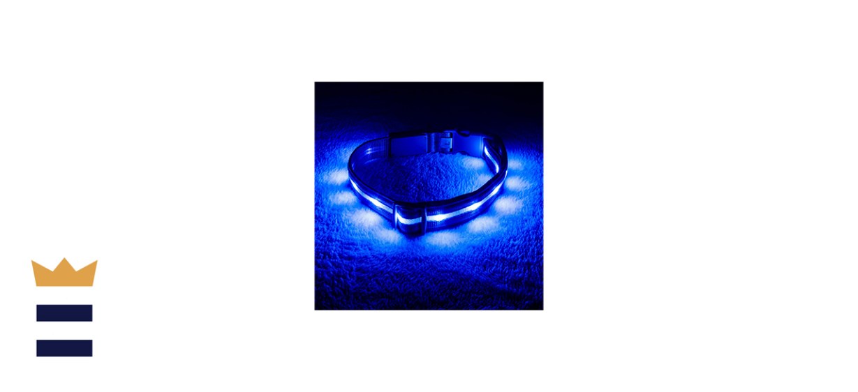 Blazin’ Safety LED Dog Collar