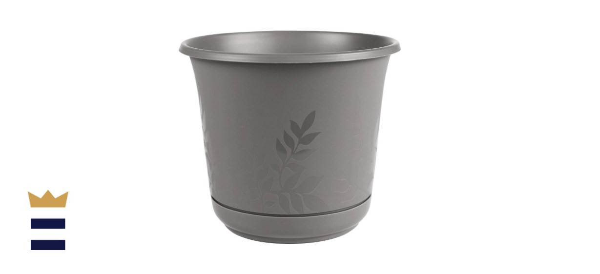 Freesia 12 in. Charcoal Plastic Planter with Saucer
