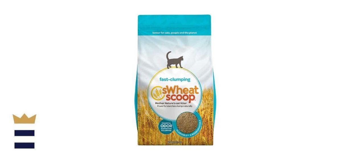 cat litter made from natural materials