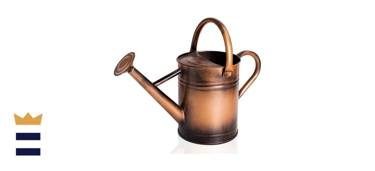 Cesun Metal Watering Can
