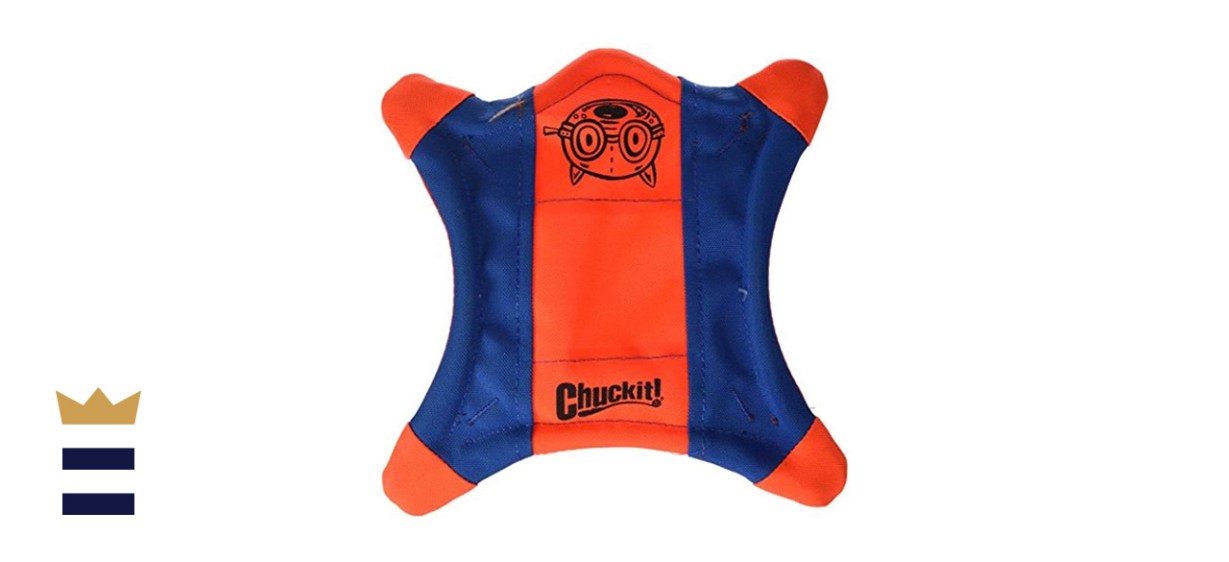 ChuckIt! Flying Squirrel