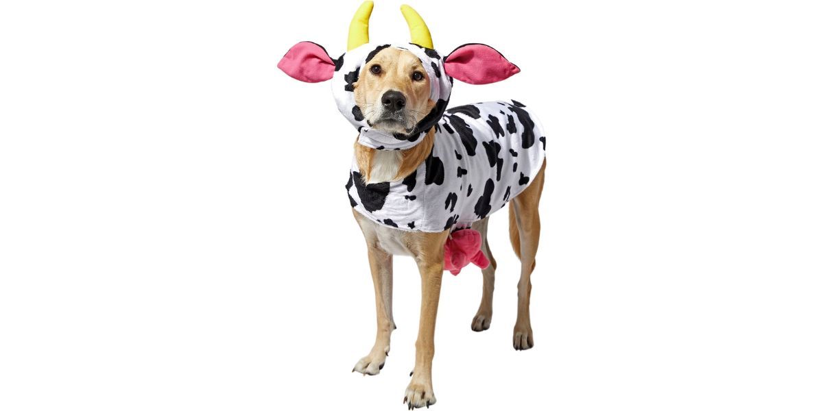 Frisco Happy Cow Dog &amp; Cat Costume