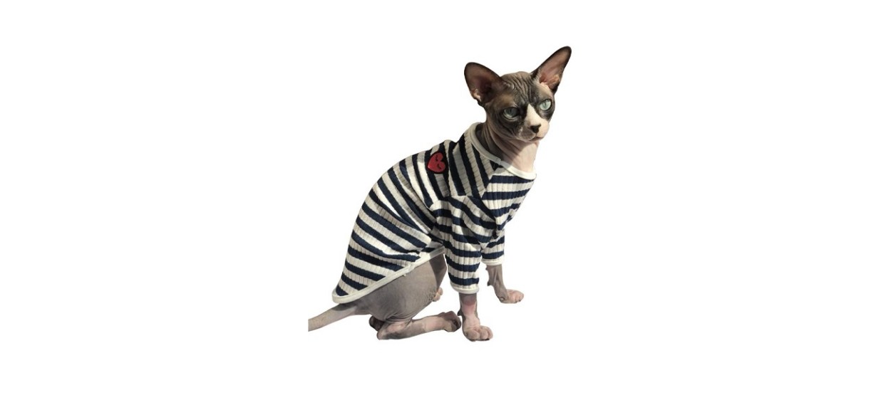 DENTRUN Hairless Cats Shirt