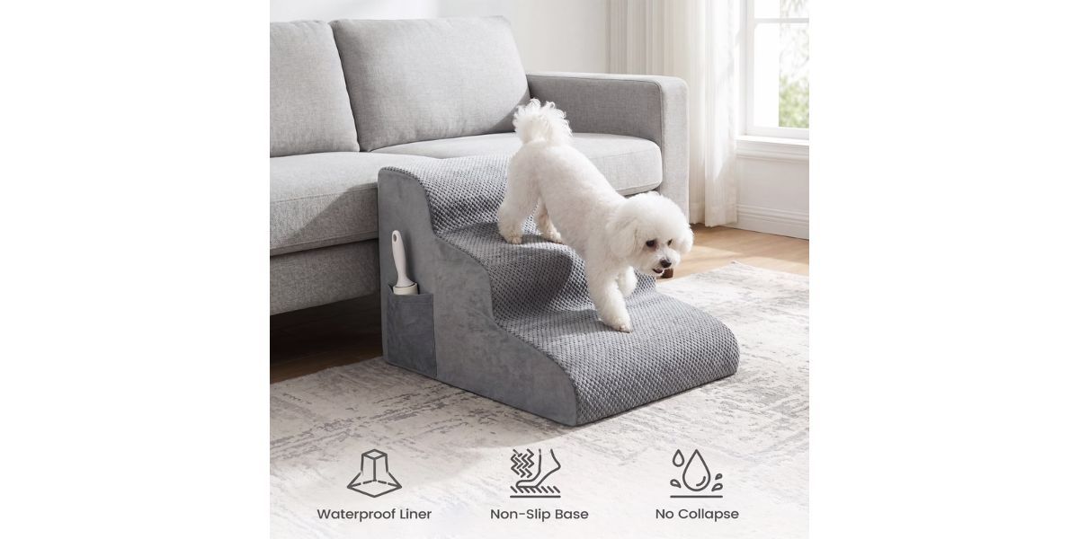 AMTPM Dog Steps