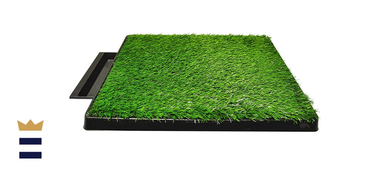 Downtown Pet Supply Dog Pee Potty Pad