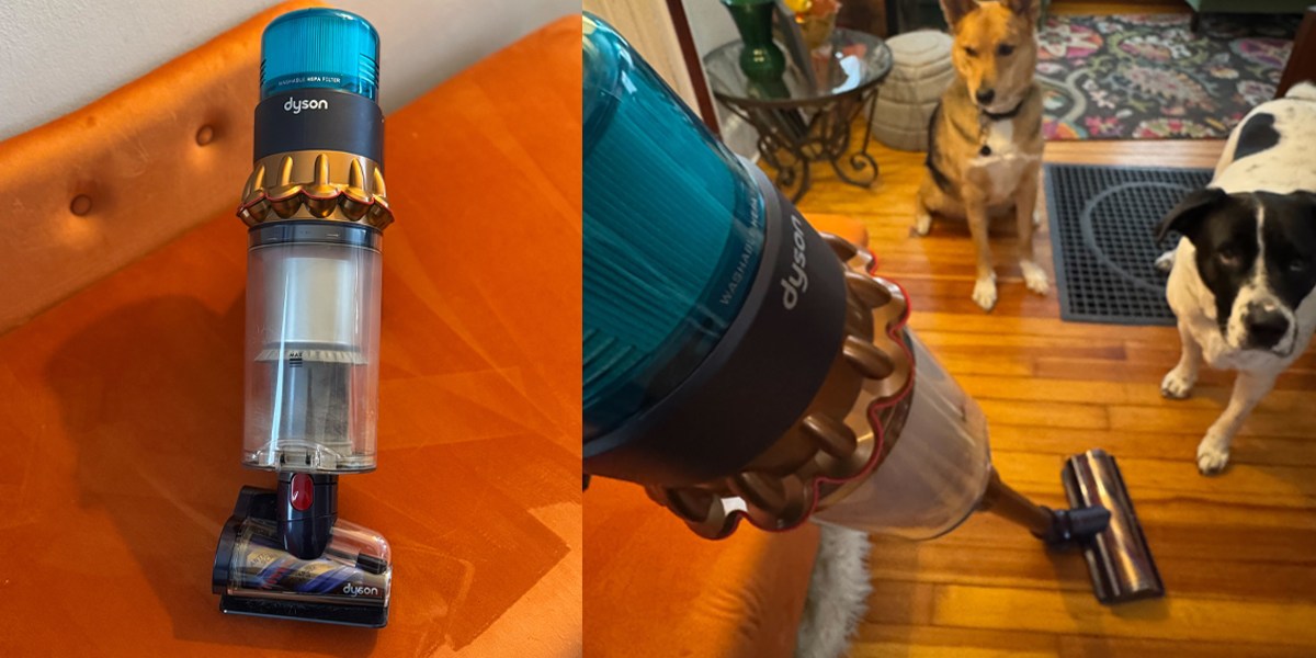 Two dogs looking at cordless vacuum cleaner