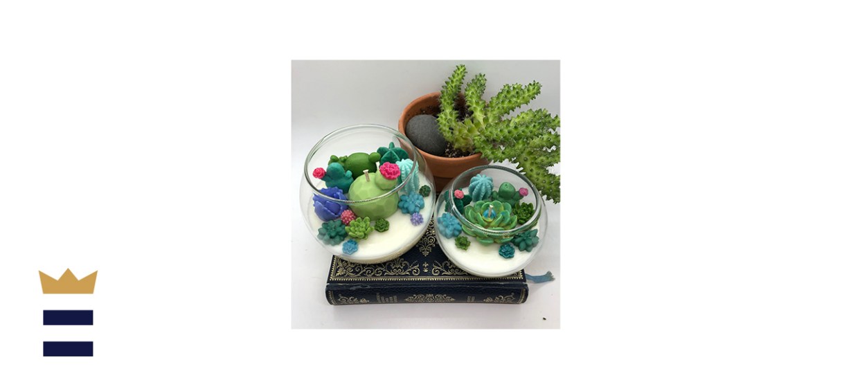 Ember And Ash Candle Co Succulent Cacti Terrarium Garden Homemade Soy Candle