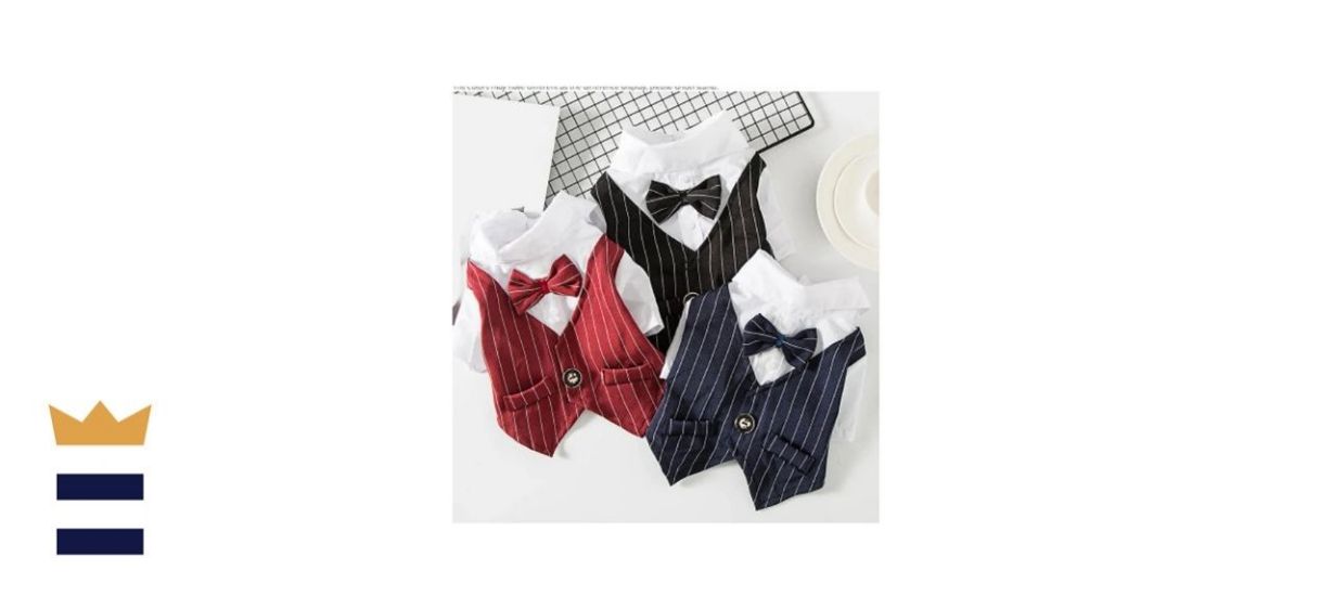 Custom Gentleman Dog Wedding Suit