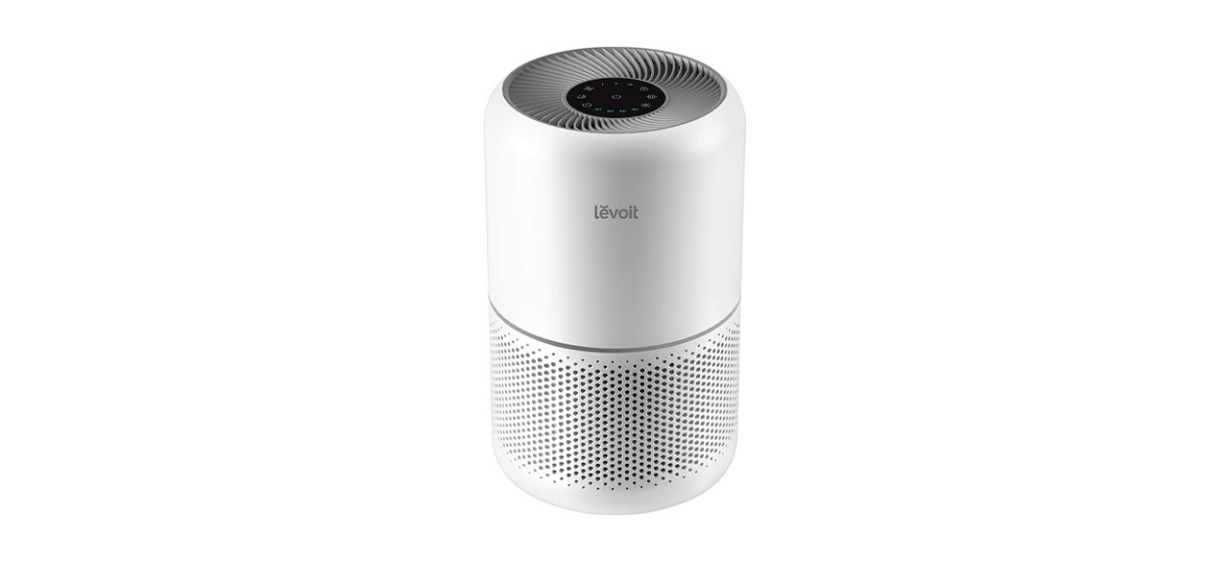 Best Levoit Core 300 Air Purifier