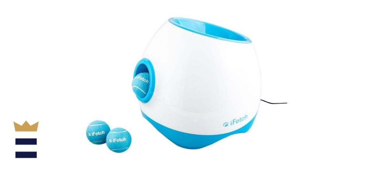 iFetch Mini Automatic Ball Launcher Dog Toy