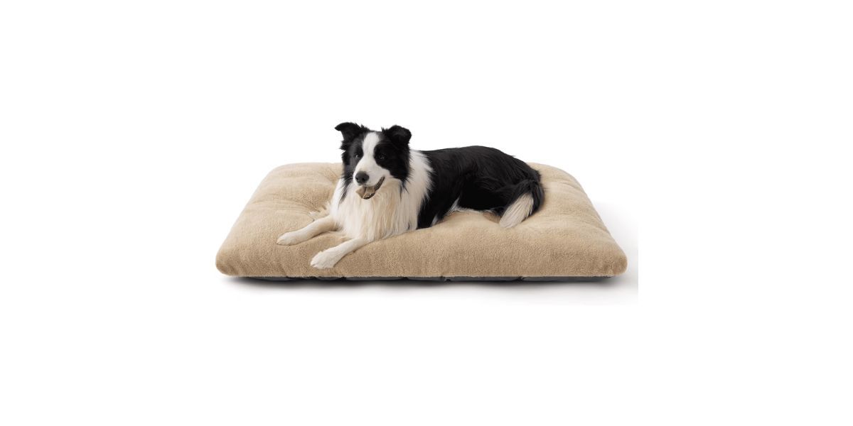 Katieovy Dog Bed for Large Dogs