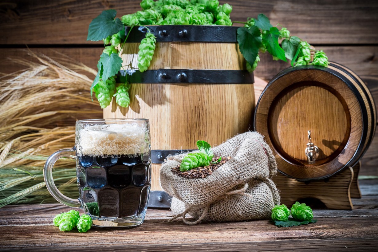 5 Best Kegs for Home Brew Aug. 2024 BestReviews