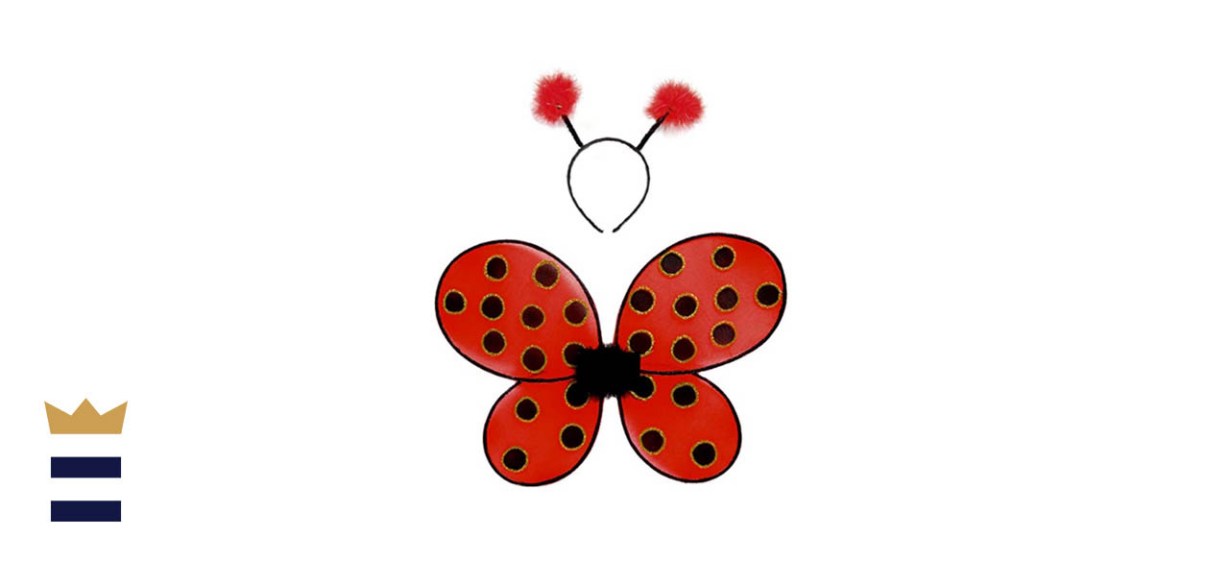 Ladybug Wings with Headband by Creative Education of Canada Store